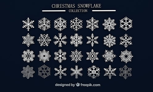 Modern Snowflake 3d model