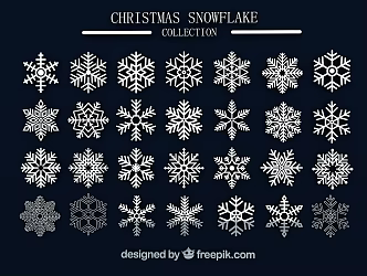 Modern Snowflake 3d model