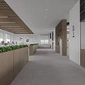 Modern Spacious Public Office Space With Long Worktables Ergonomic Chairs Computers Bookshelves And Large Windows