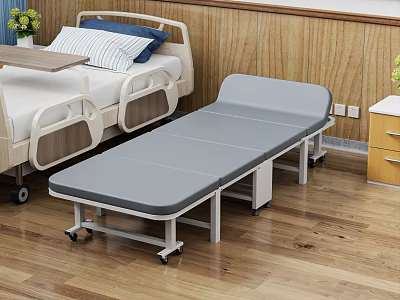 Hospital Ward Setting With Patient Bed And Foldable Accompanying Care Bed On Wooden Floor 3d model
