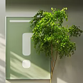 Lush Green Indoor Potted Plants In Gray Pots With Sunlight And Modern Interior