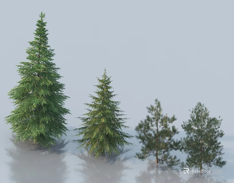 Green Arbor Trees of Various Sizes with Light Gray Background and Ground Reflections 3d model 