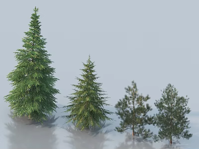 Green Arbor Trees of Various Sizes with Light Gray Background and Ground Reflections 3d model
