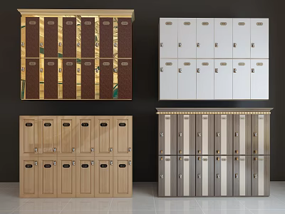 Different Colored Lockers Featuring Golden Brown White Light Wood Gray Silver Styles 3d model