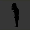 Gorilla Toy Figure With Outstretched Arms And Black And White Body On Gray Background