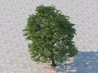 Lush Green Arbor With Dense Foliage And Strong Trunk On Stone Ground 3d model