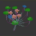 Vibrant Pink Water Lilies With Green Leaves And Long Stems