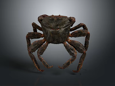 Realistic Crab With Detailed Textured Shell And Multiple Legs 3D Rendering 3d model
