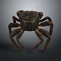 Realistic Crab With Detailed Textured Shell And Multiple Legs 3D Rendering 3d model
