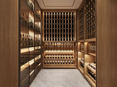 Modern Wine Cellar Interior Design With Wooden Racks Glass Doors And Wine Bottles 3d model