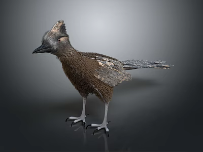 Brown Feathered Bird With Crested Head And White Legs On Black Background 3d model