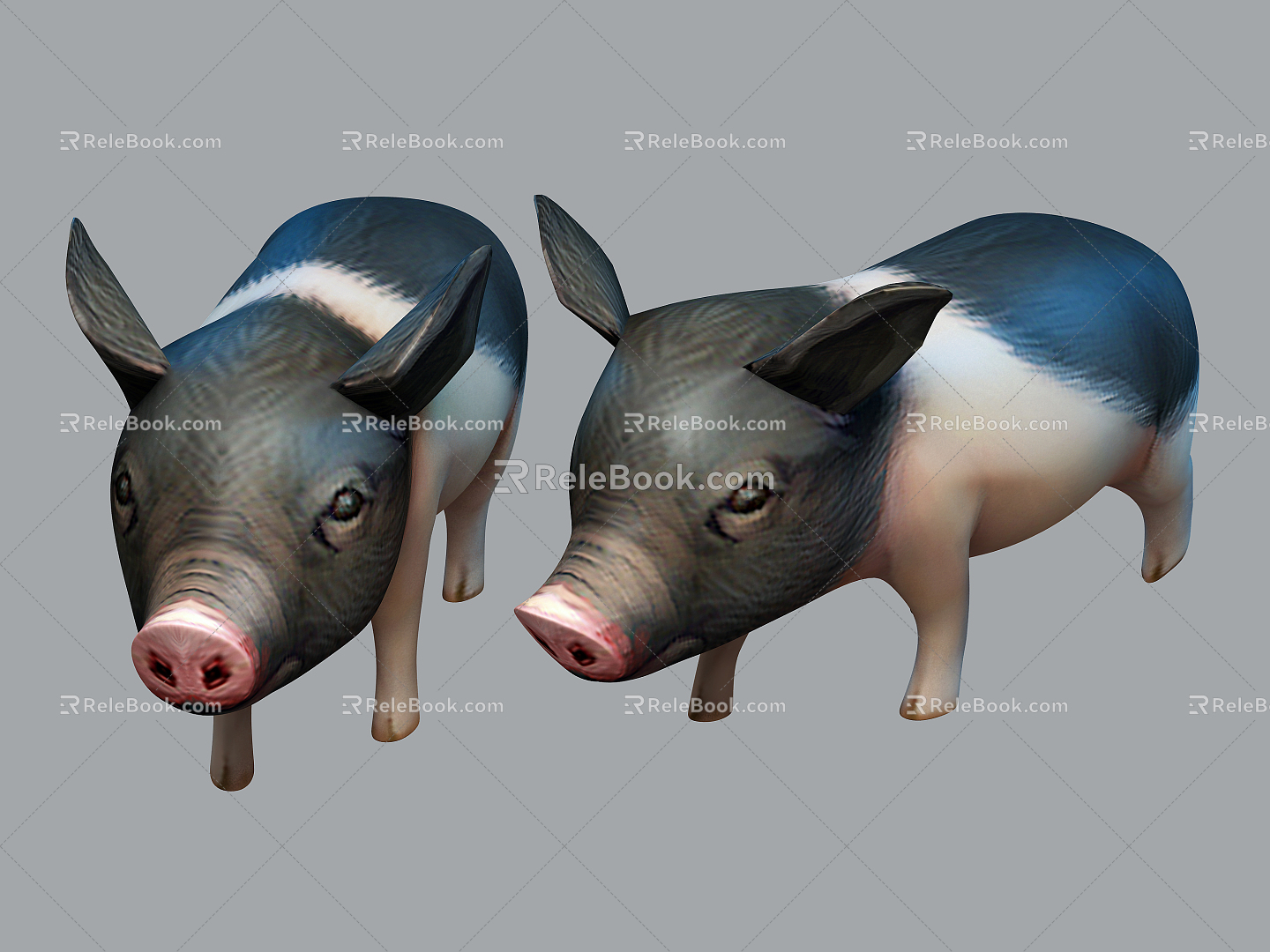 Modern Pig Pet Pig 3d model