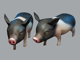 Modern Pig Pet Pig 3d model