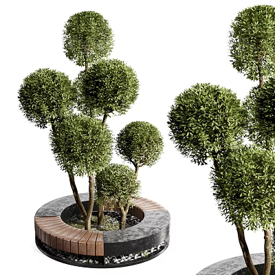 Circular Tree Planter with Trimmed Spherical Green Plants Wooden and Stone Materials in Garden Design 3d model
