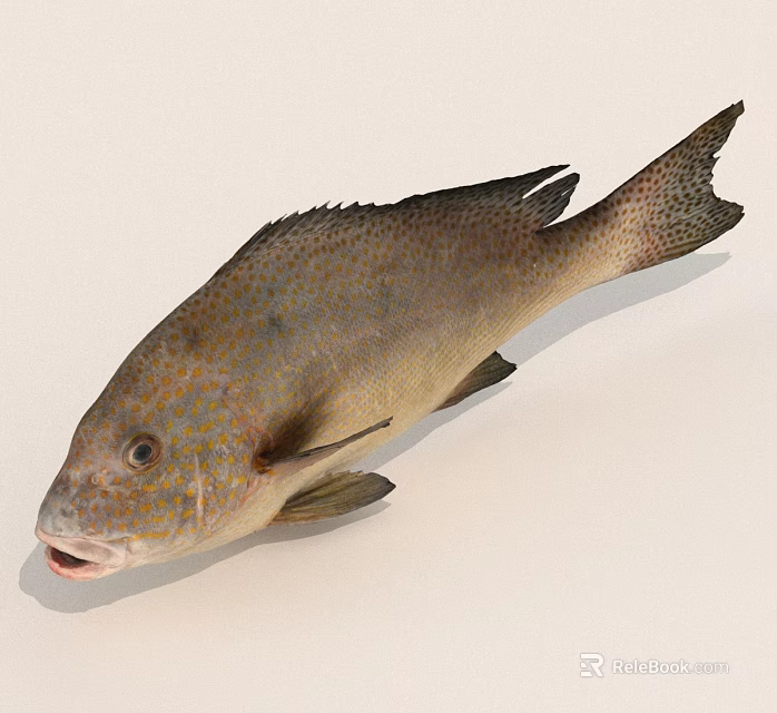 Fresh Whole Brown Spotted Fish With Dappled Body Fins And Open Mouth 3d model 
