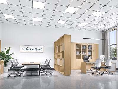 Modern Principal's Office Manager's Office model