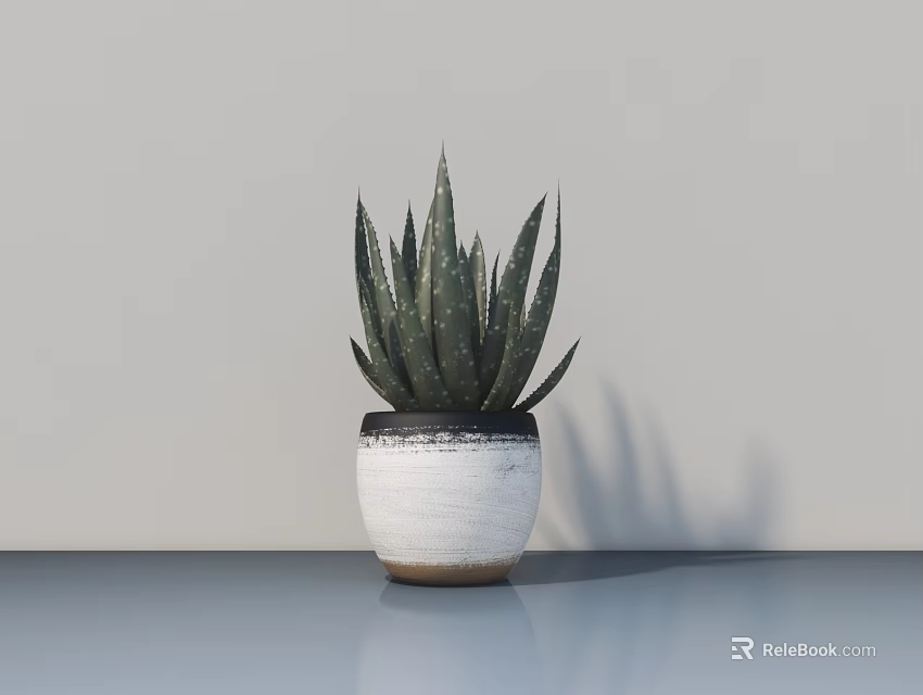 Potted Bonsai Aloe Vera Plant In White Pot With Dark Rim On Smooth Blue Tabletop 3d model 