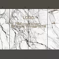Modern Office Marble Background Wall with Company LOGO and Text Elements 3d model