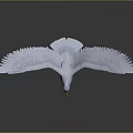 White Seagull Flying Animal With Spreading Wings Orange Beak And Yellow Feet