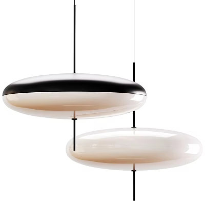 Modern Pendant Lights With Double Hanging Black And White Round Disc Design 3d model