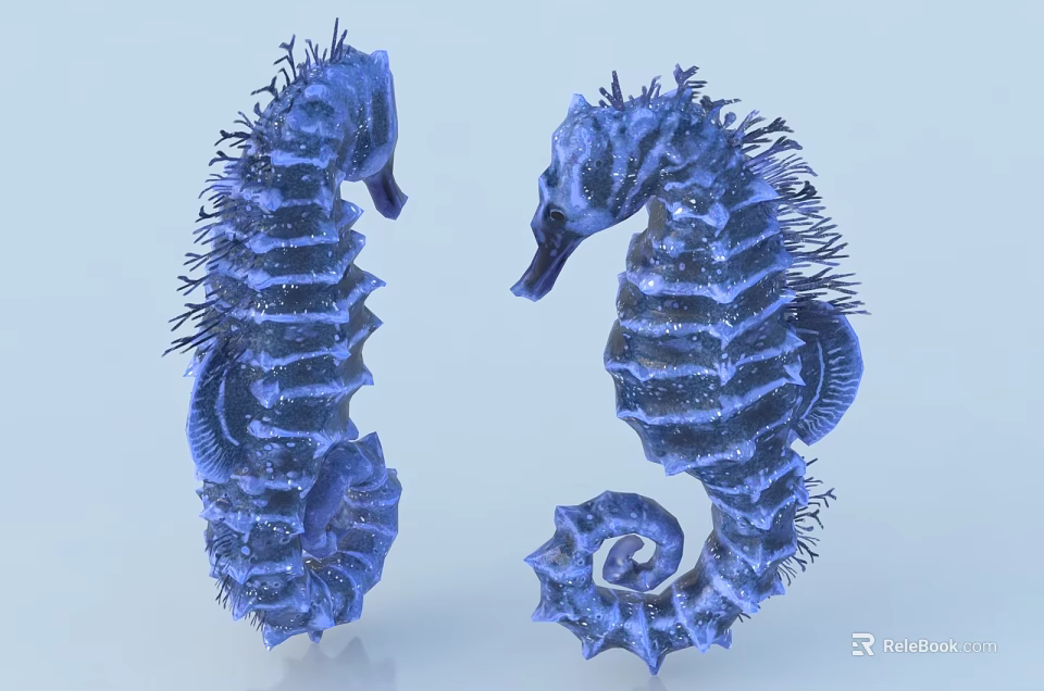 Two Vibrant Blue Seahorses Facing Each Other With Detailed Exterior Features 3d model 