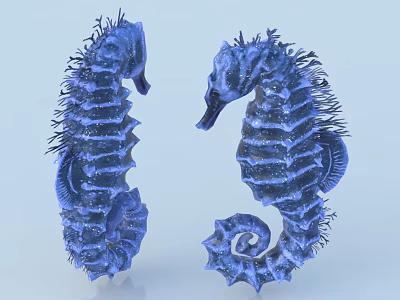 Two Vibrant Blue Seahorses Facing Each Other With Detailed Exterior Features 3d model