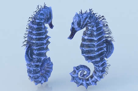 Sea Horse Sea Dragon King Sea Life 3d model