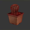 Green Spiky Cactus Plant in Square Terracotta Pot with Brown Base