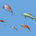 Various Colorful Fish Species Swimming In Clear Blue Water Background
