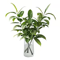 Clear Glass Vases With Lush Green Foliage And Branches For Home Decor
