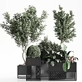 Modern Potted Plants With Black Geometric Planters And Green Foliage Decorative Shapes