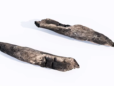 Modern Wood Dead Wood 3d model