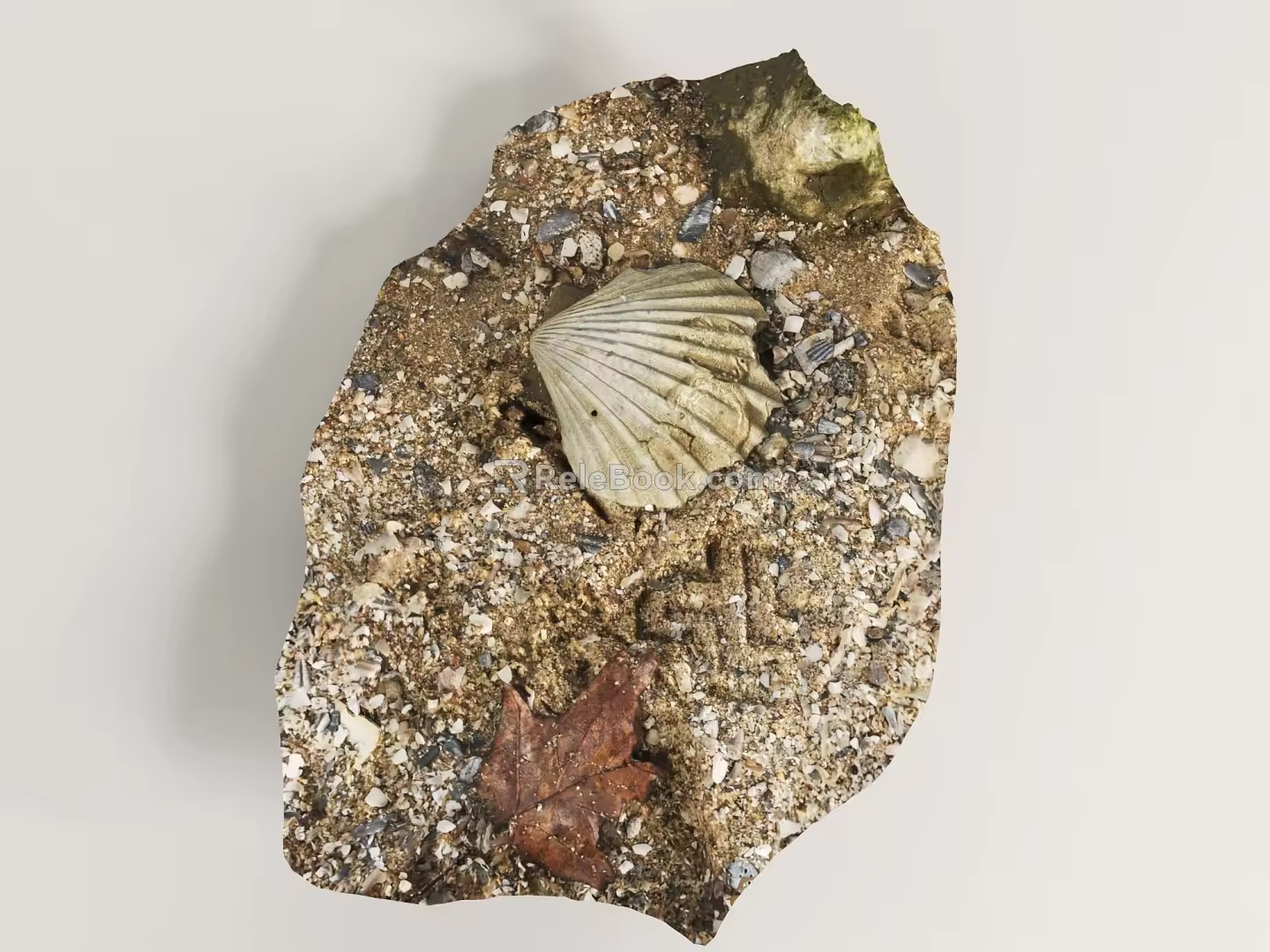 Modern Waterside Shell 3d model