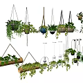 Hanging Basket Plants With Various Designs And Lush Green Foliage For Home Decoration