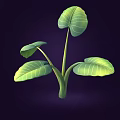 Cartoon Style Green Plant Illustration With Large Vibrant Leaves On Dark Background