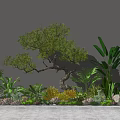 Various Succulent Plants With Green Foliage And Decorative Stones In Indoor Garden