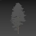 Tall Arbor With Lush Green Foliage And Single Person Silhouette On White Background