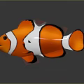 Realistic Clownfish With Orange White Stripes And Black Edges In 3D Rendering