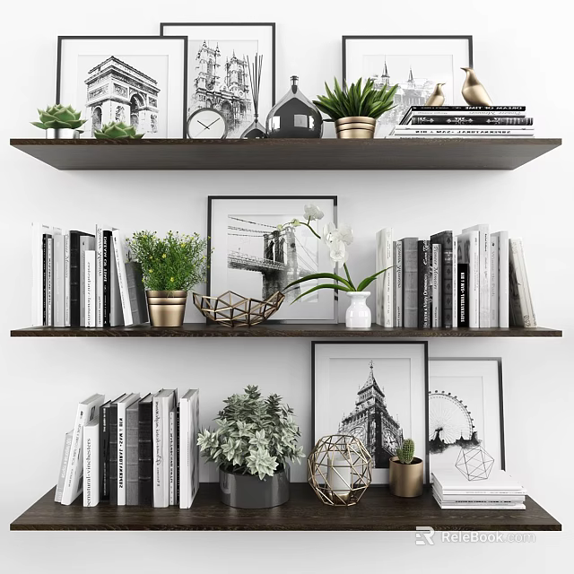 Stylish Ornamental Decor Collection With Books Plants Framed Pictures On Shelves 3d model 