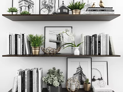Stylish Ornamental Decor Collection With Books Plants Framed Pictures On Shelves 3d model