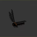 Modern Dragonfly Thin-winged Dragonfly Le Fairy Dragonfly Purple Red Dragonfly 3d model