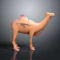 Detailed Cartoon Style 3D Camel Model With Saddle And Realistic Rendering 3d model