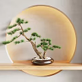 Decorative Bonsai Plant on Wooden Shelf with Round Warm Light Background