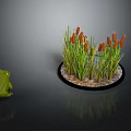 Green Frog Sitting Beside Circular Water Grass Model With Orange Flowers And Soil