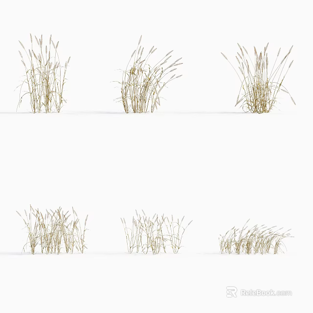 Light Brown Dried Grass Plants In Various Forms Arranged In Two Rows On White Background 3d model 