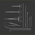 clamp forceps 3d model