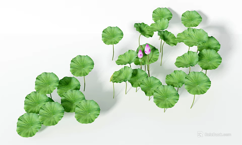 Lush Aquatic Plants With Green Leaves And Purple Flowers In Natural Water 3d model 