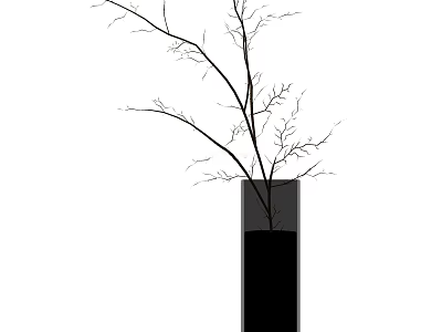 Tall Black Vase With Bare Branches For Modern Minimalist Home Decor 3d model