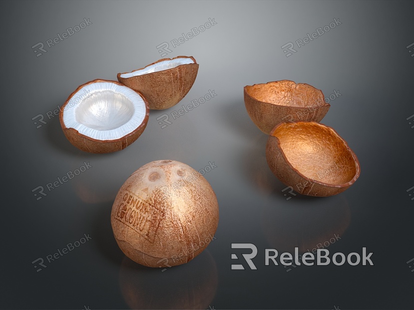 Coconut Fruit Tropical Fruit Fresh Fruit Realistic model