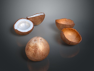 Coconut Fruit Tropical Fruit Fresh Fruit Realistic model